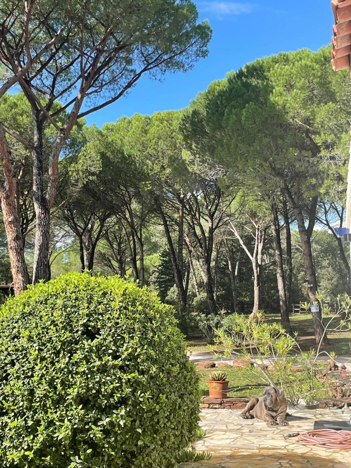 La Villa Le Cannet-des-Maures Exterior foto